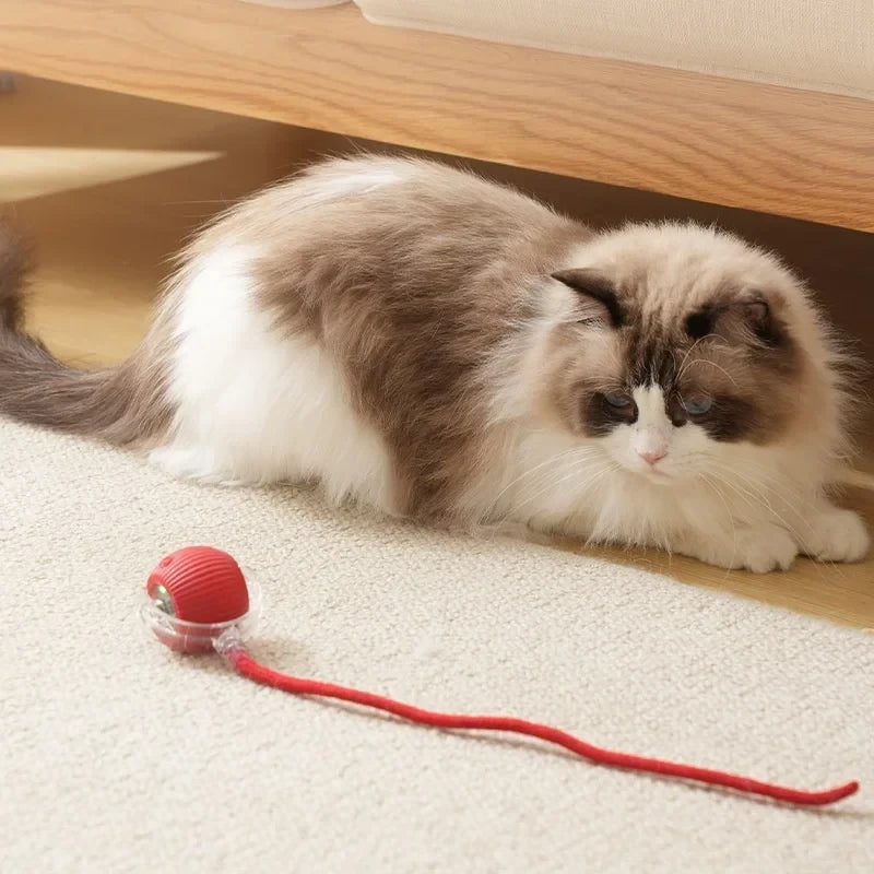 Bola Interactiva para Gatos