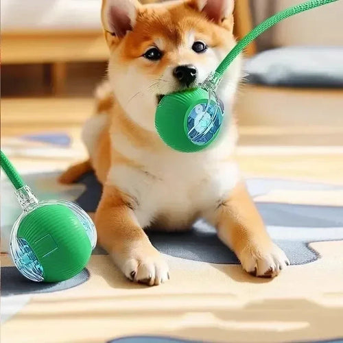 Bola Interactiva para Gatos