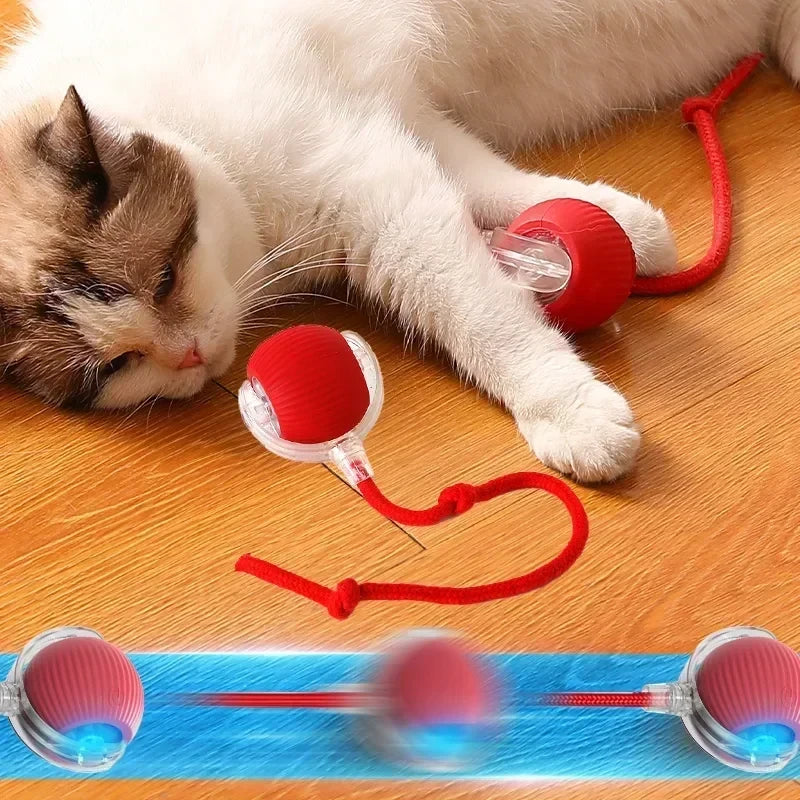 Bola Interactiva para Gatos